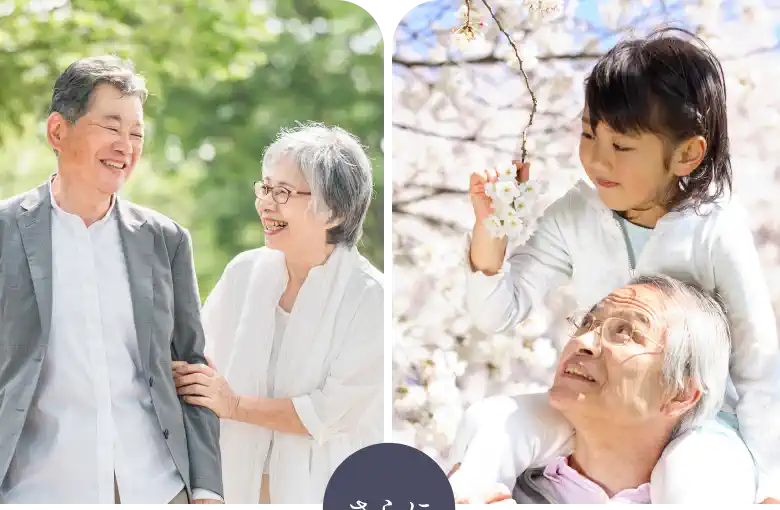 必要な情報を一括比較できるからお墓の検討と手続きの整理が一気に進みます！
